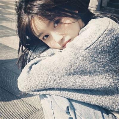 毛驴县令之大事小情